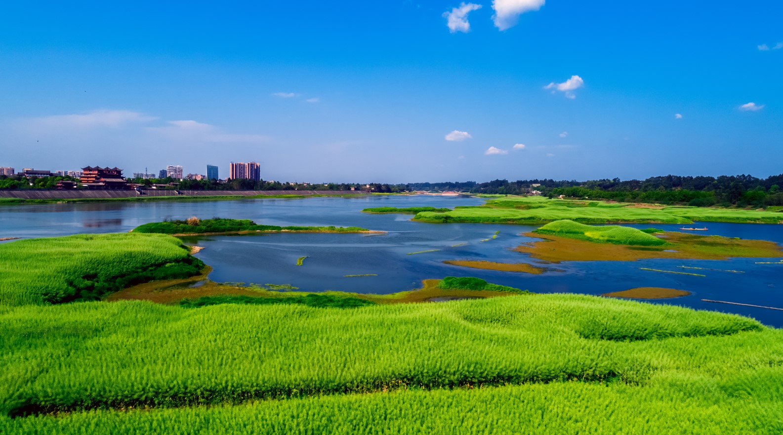 四川·青神县