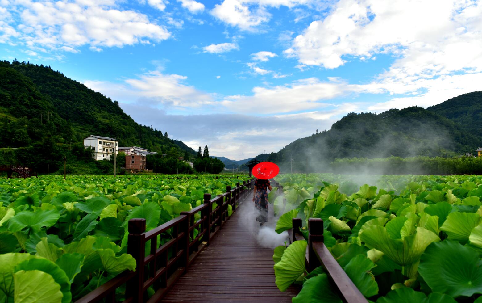 贵州·习水县